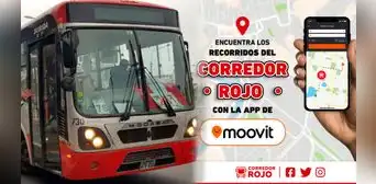 Corredor Rojo: ¿cómo usar el app Moovit para conocer paraderos, rutas y más sobre este transporte?