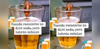 Captan a cucaracha tomando cerveza en un vaso: “Quiere ahogar sus penas” Captan a cucaracha tomando cerveza en un vaso: “Quiere ahogar sus penas”