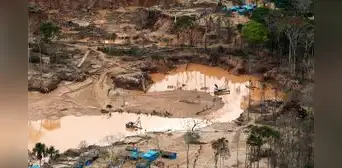 Alrededor de 22 ríos amazónicos son afectados por causa de la minería ilegal en el Perú Alrededor de 22 ríos amazónicos son afectados por causa de la minería ilegal en el Perú