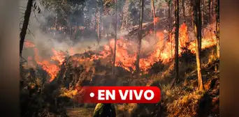 [EN VIVO] Incendios forestales en Perú: Últimas noticias en Apurímac, Arequipa, Cusco y más