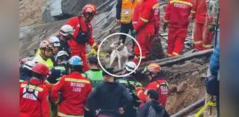 Derrumbe en Comas: perro guía ayudó a localizar el cuerpo del niño sepultado por pared de vivienda