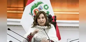 Dina Boluarte: piden citar a más testigos en investigación a mandataria por protestas