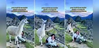 Llamita se roba la atención en foto de italiana en Machu Picchu: “Disculpa que te opaque, querida” Llamita se roba la atención en foto de italiana en Machu Picchu: “Disculpa que te opaque, querida”