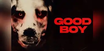 'Good Boy 2023', la película del hombre disfrazado de perro: ¿dónde ver ONLINE GRATIS?