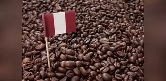 Café peruano se vende a la mitad del precio del año pasado Café peruano se vende a la mitad del precio del año pasado