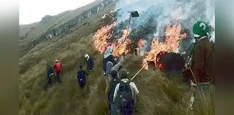 Serfor: incendios forestales se triplican este 2023