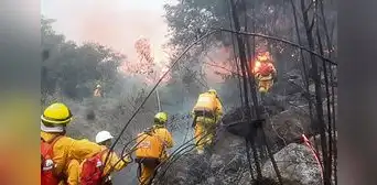 Incendio forestal en Machu Picchu consume zona de amortiguamiento del parque arqueológico
