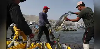 Gobierno oficializa pensión base de S/360 para jubilados del sector pesquero Gobierno oficializa pensión base de S/360 para jubilados del sector pesquero