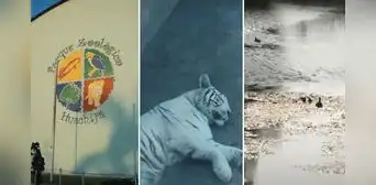 Municipalidad de Lima encontró en ESTADO DE ABANDONO las instalaciones del zoológico de Huachipa