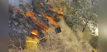 Incendio en Machupicchu destruye 150 has de vegetación en Cusco