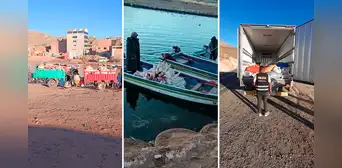 Así ingresan cerdos y carnes de Bolivia de contrabando sin ningún control en Puno Así ingresan cerdos y carnes de Bolivia de contrabando sin ningún control en Puno