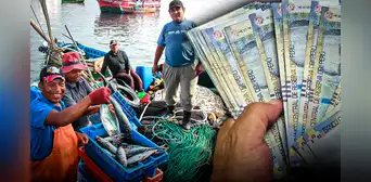 Oficializan aumento de pensión a pescadores: ¿desde cuándo podrán cobrar y a cuántos beneficiará? Oficializan aumento de pensión a pescadores: ¿desde cuándo podrán cobrar y a cuántos beneficiará?
