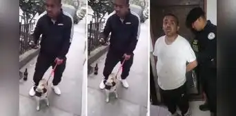 Madre de sujeto que agredió a perrita en La Victoria fue quien denunció el hecho, informó PNP