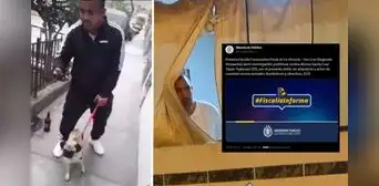 Fiscalía inicia investigación contra sujeto que agredió a perrita en La Victoria