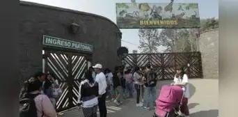 Zoológico de Huachipa: ¿por qué se resolvió el contrato con la concesionaria? Serfor lo explica Zoológico de Huachipa: ¿por qué se resolvió el contrato con la concesionaria? Serfor lo explica