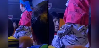 Hombre sorprende a usuarios tras subir al bus con una serpiente: “Protégeme, Señor, con tu espíritu” Hombre sorprende a usuarios tras subir al bus con una serpiente: “Protégeme, Señor, con tu espíritu”