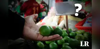 Precio del limón HOY: ¿cuánto cuesta el kilo por región? Precio del limón HOY: ¿cuánto cuesta el kilo por región?