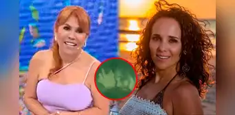 Magaly Medina defiende ampay de Érika Villalobos con nuevo galán: “Siento que es lo que le tocaba” Magaly Medina defiende ampay de Érika Villalobos con nuevo galán: “Siento que es lo que le tocaba”