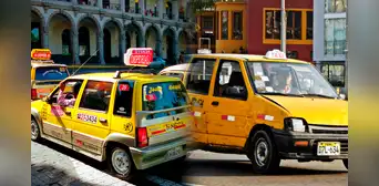 ¿Qué pasó con los ticos? conoce la razón detrás de su desaparición en Lima ¿Qué pasó con los ticos? conoce la razón detrás de su desaparición en Lima