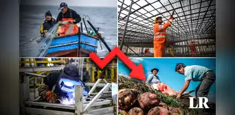 PBI peruano solo crecería 1,1% este 2023: ¿qué sectores terminarían en negativo? PBI peruano solo crecería 1,1% este 2023: ¿qué sectores terminarían en negativo?
