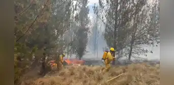 Incendio forestal afecta más de 30 hectáreas en Parque Nacional Huascarán, en Áncash