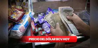 Precio del dólar BCV HOY, viernes 1 de setiembre: tasa oficial según Banco Central de Venezuela Precio del dólar BCV HOY, viernes 1 de setiembre: tasa oficial según Banco Central de Venezuela