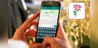 ¿Cómo cambiar el ícono clásico de WhatsApp por una rosa en el Día de Santa Rosa de Lima? ¿Cómo cambiar el ícono clásico de WhatsApp por una rosa en el Día de Santa Rosa de Lima?