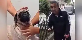Caso Dachi: atacante permanecerá detenido hasta que se fije audiencia por maltrato animal Caso Dachi: atacante permanecerá detenido hasta que se fije audiencia por maltrato animal