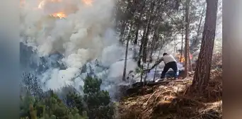 Voraz incendio forestal arrasó con cientos de hectáreas de vegetación en Cajamarca Voraz incendio forestal arrasó con cientos de hectáreas de vegetación en Cajamarca