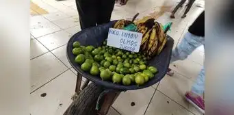Chiclayo: comerciantes ofrecen a S/1 la unidad de limón por escasez del producto Chiclayo: comerciantes ofrecen a S/1 la unidad de limón por escasez del producto