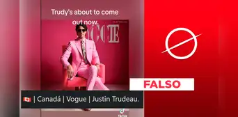 Primer Ministro de Canadá, Justin Trudeau, no posó en traje rosa para Vogue: es una imagen generada por IA Primer Ministro de Canadá, Justin Trudeau, no posó en traje rosa para Vogue: es una imagen generada por IA