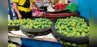 Precio del limón llega a los S/16 en Lima Precio del limón llega a los S/16 en Lima