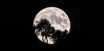 Superluna azul: así se vio la luna llena más grande del 2023 en distintos países del mundo Superluna azul: así se vio la luna llena más grande del 2023 en distintos países del mundo
