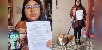 Chorrillos: denuncian a hombre que golpeó y abusó sexualmente de una perrita Chorrillos: denuncian a hombre que golpeó y abusó sexualmente de una perrita