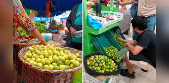 Precio del limón HOY 1 de septiembre: conoce cuánto cuesta el kilo del cítrico en cada región del Perú Precio del limón HOY 1 de septiembre: conoce cuánto cuesta el kilo del cítrico en cada región del Perú
