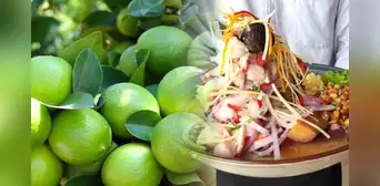 Costal de limón pasó de S/120 a S/800: ¿cuál es la situación de las cevicherías del norte del Perú? Costal de limón pasó de S/120 a S/800: ¿cuál es la situación de las cevicherías del norte del Perú?