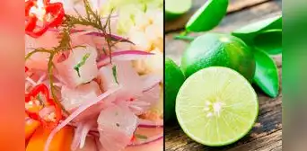 Ceviche con ácido acético: ¿cómo detectar si tu plato está adulterado? Ceviche con ácido acético: ¿cómo detectar si tu plato está adulterado?