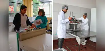 ¿Quieres estudiar GRATIS? Conoce el  ÚNICO instituto público en Los Olivos y las carreras que ofrece