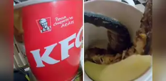 ¿Combo selvático? Peruano se sorprende al comprar comida rápida en Iquitos: “Este es el verdadero” ¿Combo selvático? Peruano se sorprende al comprar comida rápida en Iquitos: “Este es el verdadero”