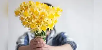 Revisa lo último que se muestra de flores amarillas en septiembre Revisa lo último que se muestra de flores amarillas en septiembre