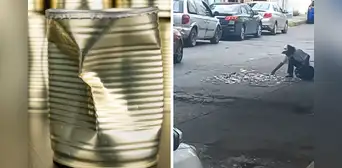 Reciclador usa peculiar estrategia para aplastar las latas en medio de la pista: “Es un genio” Reciclador usa peculiar estrategia para aplastar las latas en medio de la pista: “Es un genio”