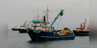 Ministerio de la Producción decidirá apertura de segunda temporada de pesca en octubre Ministerio de la Producción decidirá apertura de segunda temporada de pesca en octubre