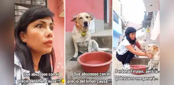Peruana roba el limón que un perro tenía colgado en el cuello para su ceviche: "Esto ahora vale oro"