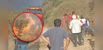 ¡Alarma en Lambayeque! Incendio forestal arrasa con cientos de hectáreas de vegetación ¡Alarma en Lambayeque! Incendio forestal arrasa con cientos de hectáreas de vegetación