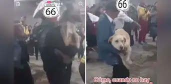Llevan a 2 perritos a matrimonio en Huancayo e invitados creen que son regalos de boda Llevan a 2 perritos a matrimonio en Huancayo e invitados creen que son regalos de boda