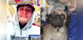 PNP identifica a sujeto que grabó ataque de Dachi, quien también sería expareja de dueña PNP identifica a sujeto que grabó ataque de Dachi, quien también sería expareja de dueña