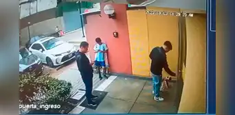 Cámaras de seguridad registran ataque de sujeto contra su perrito pug en el Cercado de Lima Cámaras de seguridad registran ataque de sujeto contra su perrito pug en el Cercado de Lima