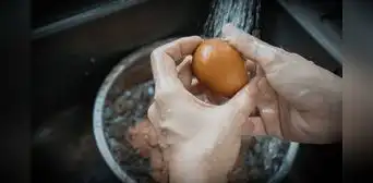 ¿Se deben lavar los huevos antes de consumirlos? Esto dicen especialistas ¿Se deben lavar los huevos antes de consumirlos? Esto dicen especialistas