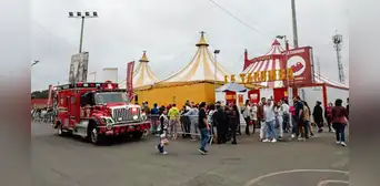 La Tarumba: trapecista sufre accidente tras caer durante acrobacia en plena función