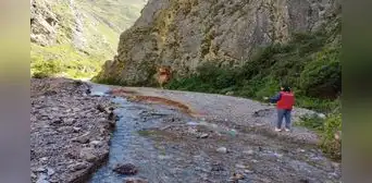 Ancash: 50% de entidades públicas sin plan contra desastres Ancash: 50% de entidades públicas sin plan contra desastres